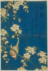 Gimpel und Trauerkirsche, aus einer unbetitelten Serie von Blumen und Vögeln