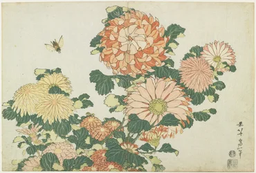 Chrysanthemen und Pferdebremse, ca. 1832