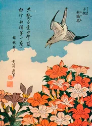 Kuckuck und Azalee, um 1828, 1936
