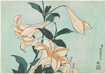 Lilien