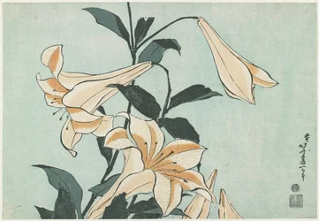 Lilien, ca. 1832