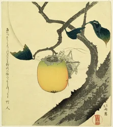 Mond, Persimone und Grashüpfer, 1807