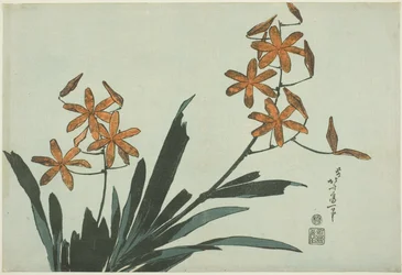 Orangefarbene Orchideen aus einer unbetitelten Blumenserie