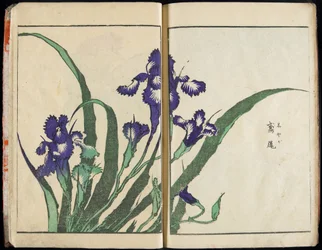 Die Seele übertragen und die Form der Dinge offenbaren: Hokusais Garten der Bilder, Bd. 1 komplett
