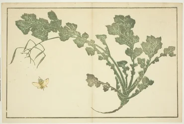 Wespe und Rübenstängel, aus "Das Bilderbuch der realistischen Malereien von Hokusai"