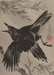 Krähe und Weidenbaum, November 1887