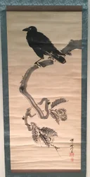 Krähe auf Kieferzweig