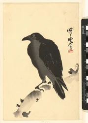 Krähe auf einem Baumstamm