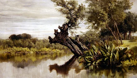 Der Weidenbaum