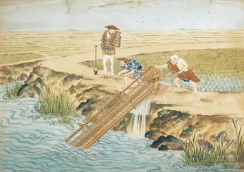 Leiden, Arbeit in den Reisfeldern