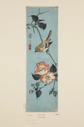 Spatz und Kamelie (Farbholzschnitt)
