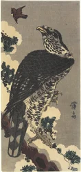Adler und Spatz