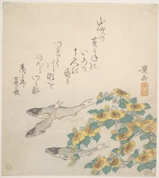 Zwischen gelben Blumen schwimmende Fische