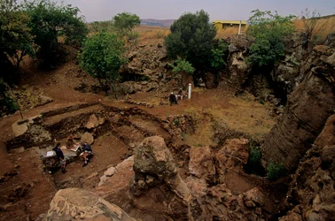 Drimolean-Stätte, nahe Johannesburg, Südafrika, 2 Millionen Jahre alter Hominide