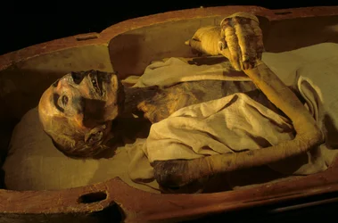 Mumie von Ramses II