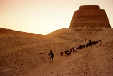 Pyramide von Meidum, Ägyptens Altes Reich; Hirten; Ägypten