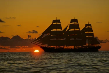 Vollschiff; Dar Pomorza, Segelrennen, Operation Sail Tall Ships; Sail Training Association
