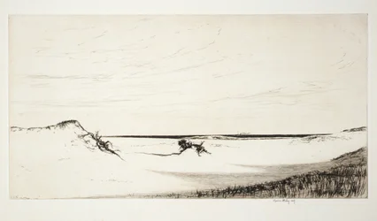 Sand und Meer, Cape Cod