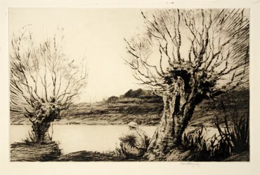 Die Weiden