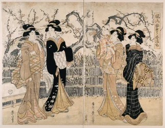 Eleganter Pflaumengarten