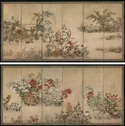 Blumen und Gräser