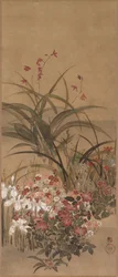 Sommerblumen, Mitte 1600er