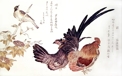 Eine Haushenne und ein Hahn und japanische Ammer auf einem Bambusspross, um 1791