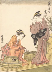 Japanische Buschgrasmücke, 1754-1806