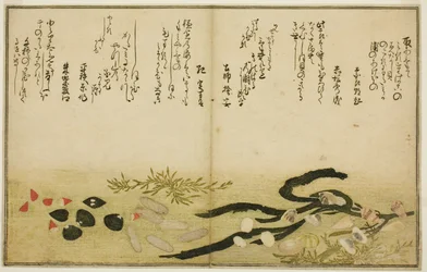 Minashi-gai, shio-gai, katatsu-gai, miso-gai, chijimi-gai und chigusa-gai, aus dem illustrierten Buch "Geschenke von der Ebbe (Shiohi no tsuto)"