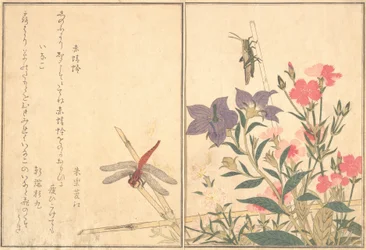 Rote Libelle Akatonbo, Heuschrecke Inago..., 1788