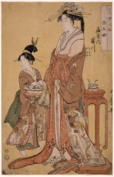 Takigawa von der Ogiya Acht, aus der Serie Unsterbliche in der Kunst der Liebe, 1793