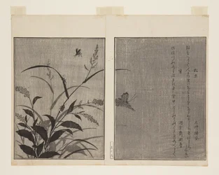 Baumgrille (Matsumushi) und Glühwürmchen (Hotaru)