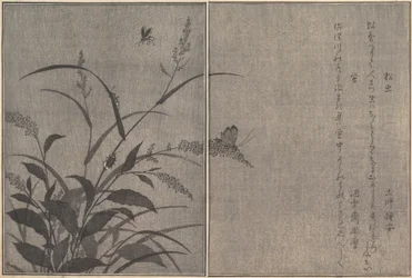 Baumgrille Matsumushi, Glühwürmchen Hotaru..., 1788