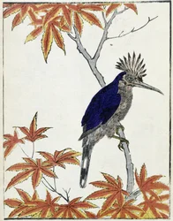 Vogel auf einem Baum. Japanische Zeichnung von Kitao Kosuisai