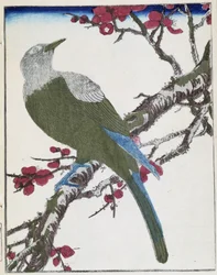 Vogel auf einem Baum. Japanische Zeichnung von Kitao Kosuisai