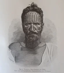 Juan Tepano, Illustration aus „Über die Tätowierung der Oster-Insulaner“ von Hjalmar Stolpe
