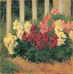 Blumenstrauch vor Gartenzaun