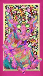 Psychedelische Sphynx-Katze