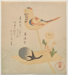 Süßigkeiten in Form von Vogel, Aubergine und Adonis