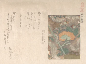 Designs von importierten Ledern, 19. Jahrhundert