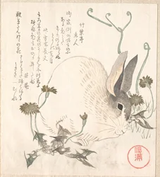 Hase und Löwenzahn?