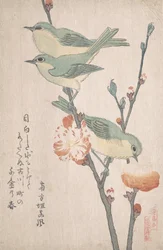 Japanische Weißaugen auf einem Pfirsichbaumzweig, ca. 1805-10