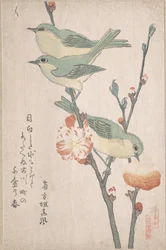 Japanbrillenvögel auf einem Pfirsichbaumzweig, aus der Serie „Eine Auswahl von Vögeln“ (Tori awase), aus dem Surimono-Album „Frühlingsregen“ (Harusame surimono-jō, Bd. 3)