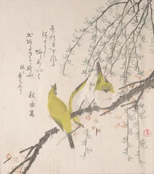Japanische Weißaugen mit Pflaumenbaum und Weide..., ca. 1810