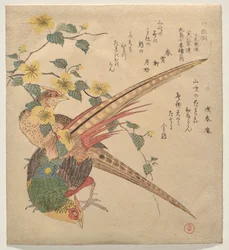 Paar chinesische Fasanen und ein Zweig Yamabuki-Blumen