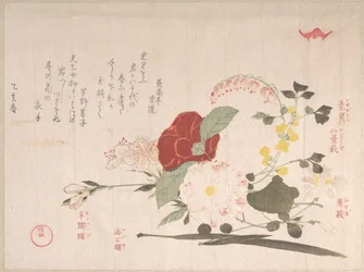 Frühlingsregen-Sammlung (Harusame shū), Band 2: Schnittblumen: Waldrebe, Buschklee, Iris, Kamelie und Azalee