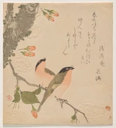 Zwei Gimpel auf einem doppelt gefüllten Kirschbaum (Uso ni Yae-zakura)