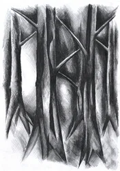 Dunkler Mysteriöser Wald