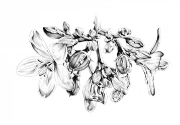 Zarte Blumenzeichnung