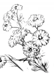 Elegante Blumenzeichnung